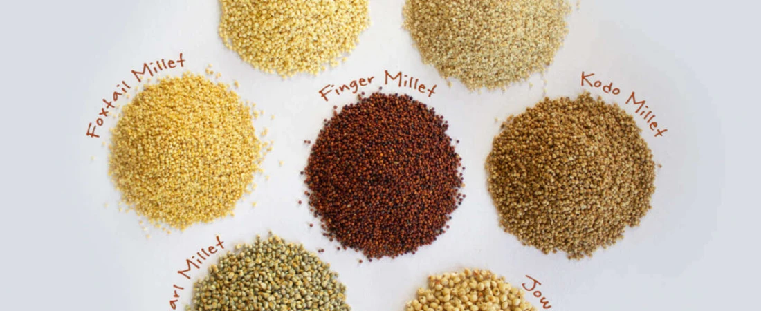 Millets of Mewar