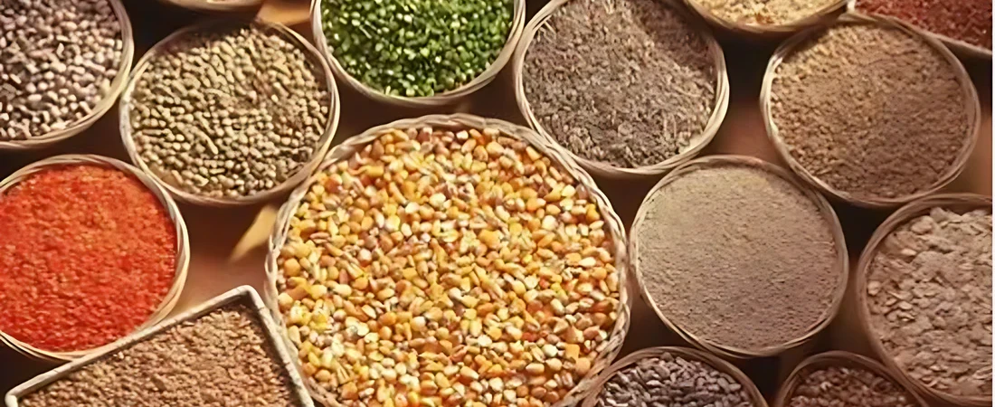 Millets of Mewar