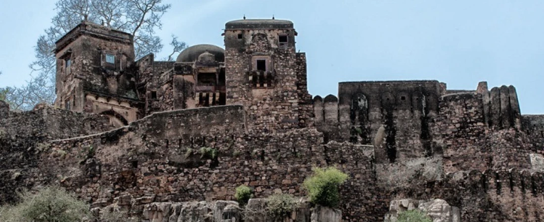 Ranthambore Fort