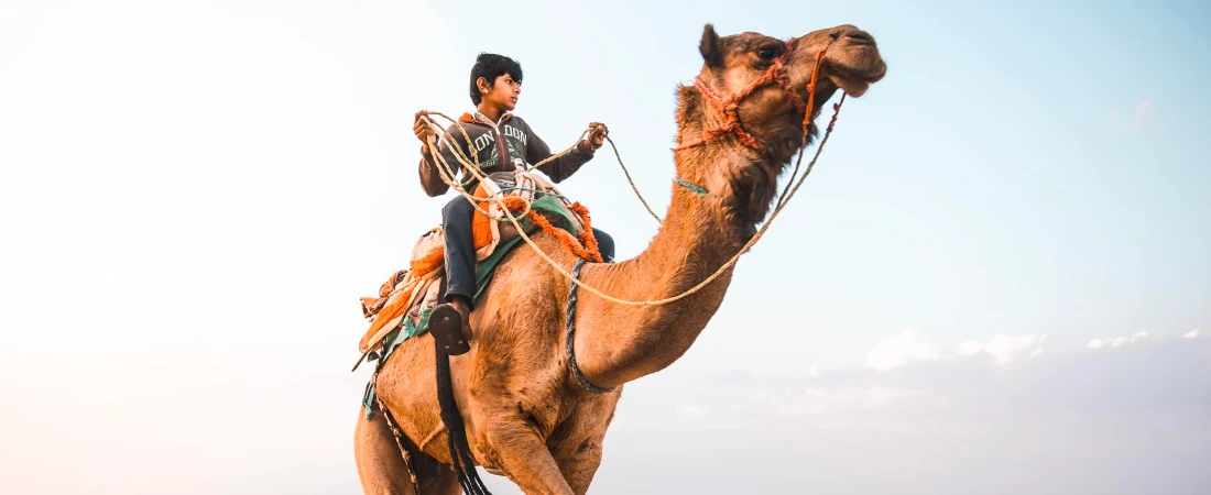 Discover Jaisalmer’s Golden Desert